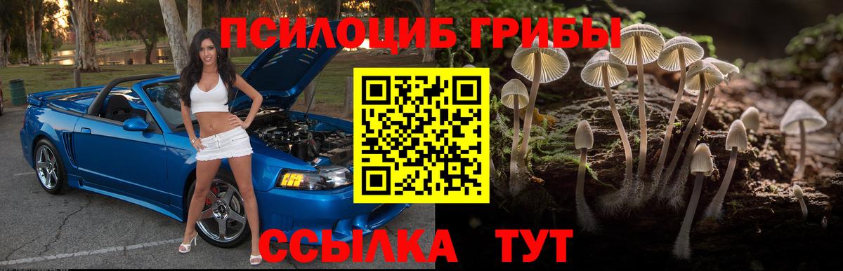 Псилоцибиновые грибы MAGIC MUSHROOMS  Вход с VPN  Мегион  Псилоцибиновые грибы Magic Shrooms 